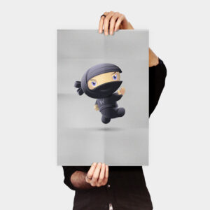 Poster ninja volante